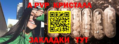 индика Гусь-Хрустальный