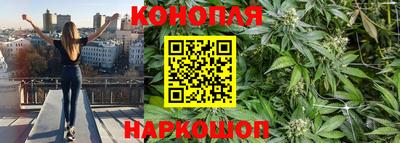 индика Гусь-Хрустальный
