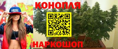 индика Гусь-Хрустальный
