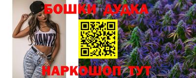 индика Гусь-Хрустальный